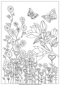 Colouring In Page Abundance Free 1